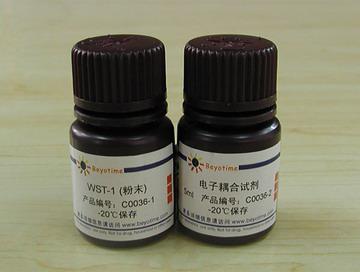 WST-1细胞增殖及细胞毒性检测试剂盒